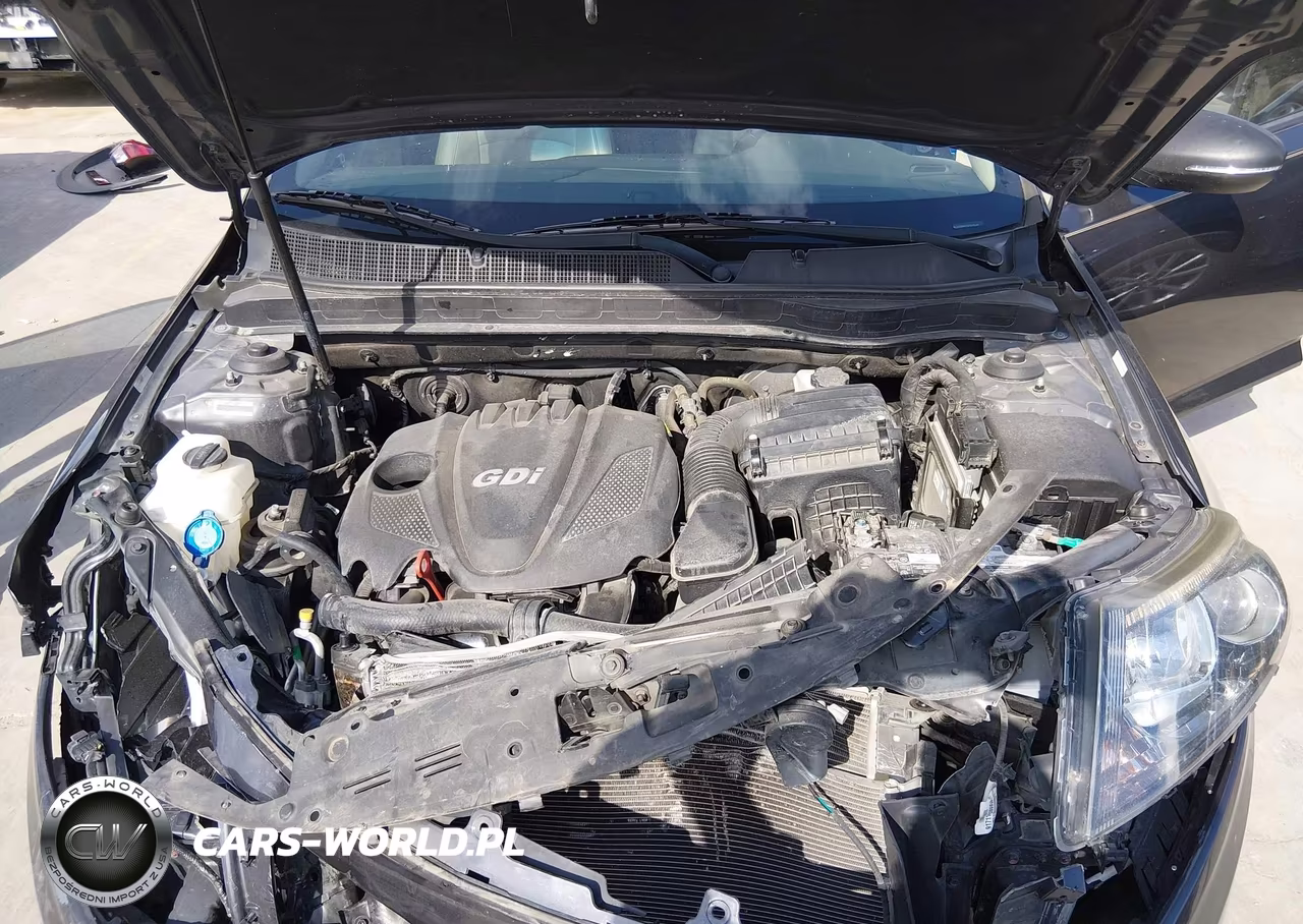 2015 Kia Optima Ex VIN:5XXGN4A75FG502240 - 10