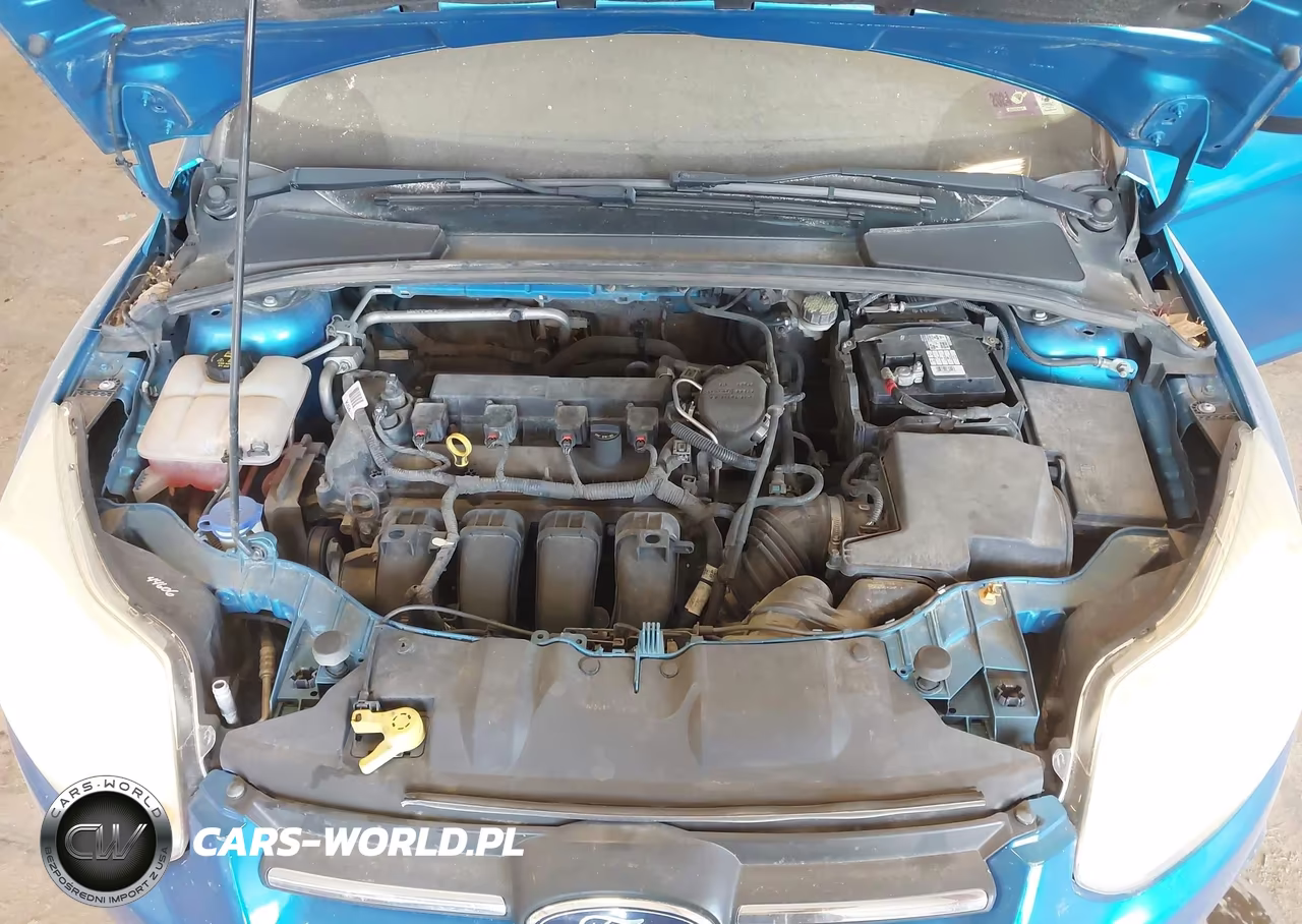 2014 Ford Focus Se VIN:1FADP3F20EL428914 - 10