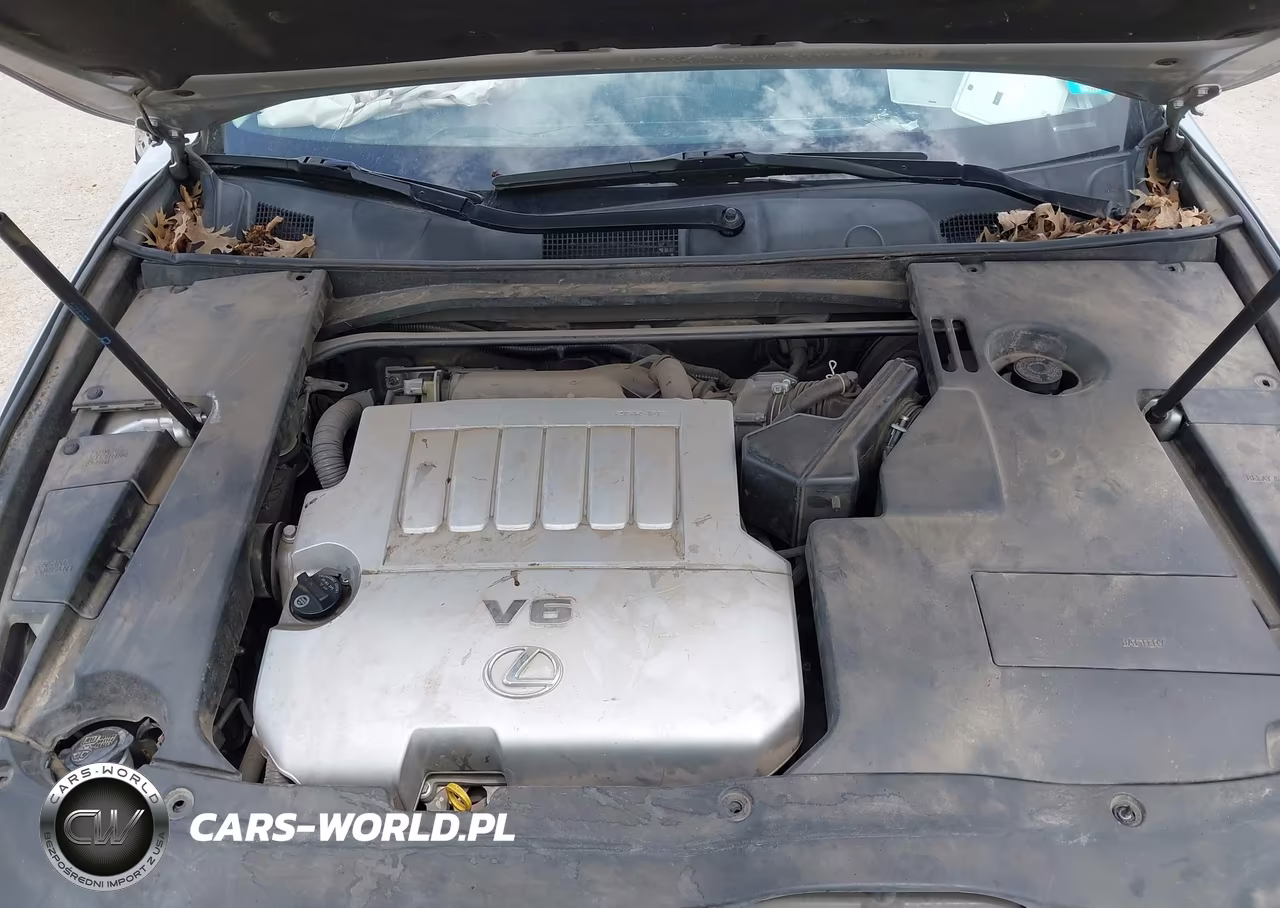 2007 Lexus Es 350 VIN:JTHBJ46G172071917 - 10