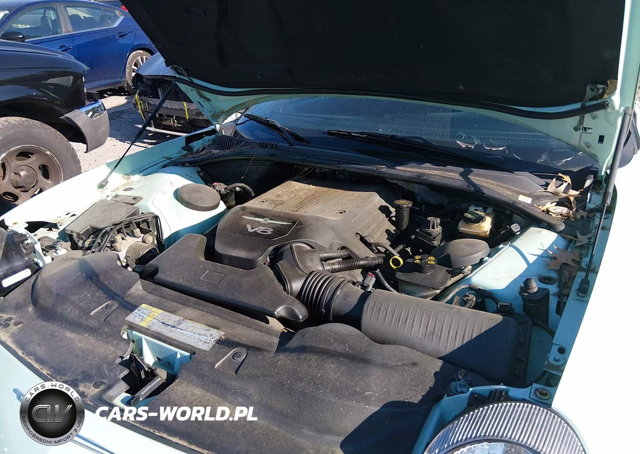 2004 Ford Thunderbird VIN:1FAHP60A54Y101087 - 10