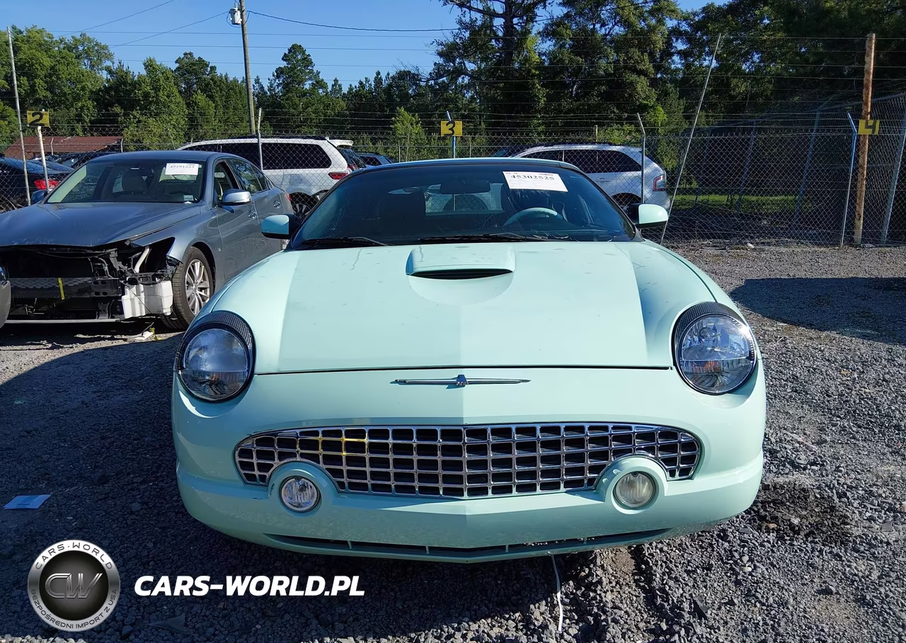 2004 Ford Thunderbird VIN:1FAHP60A54Y101087 - 12