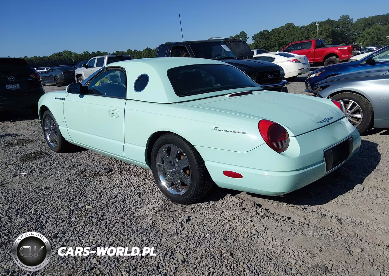2004 Ford Thunderbird VIN:1FAHP60A54Y101087 - 3