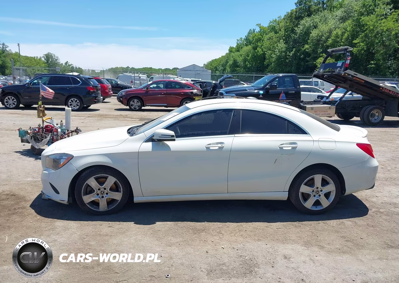 2018 Mercedes-Benz Cla 250 VIN:WDDSJ4EB5JN531793 - 14