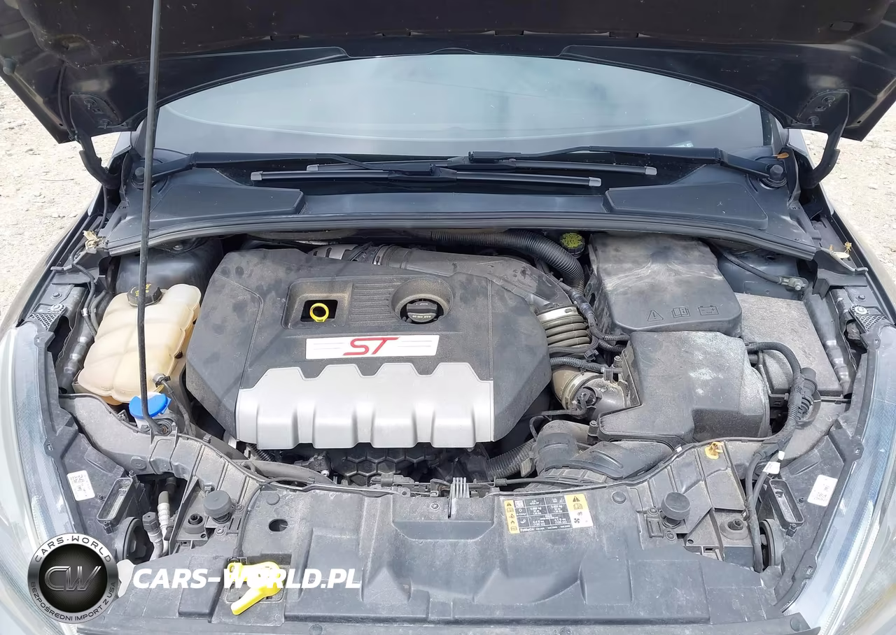 2017 Ford Focus St VIN:1FADP3L96HL343355 - 10