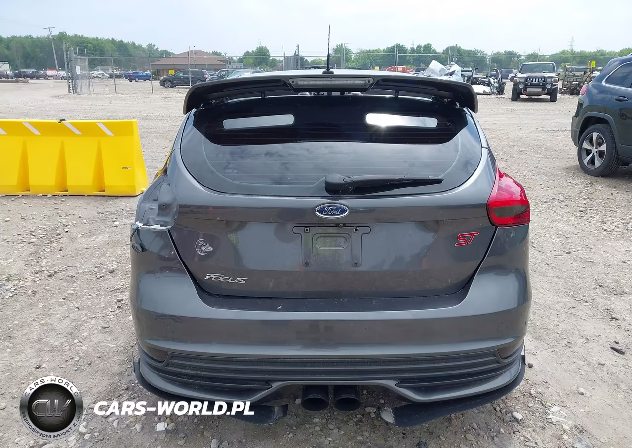 2017 Ford Focus St VIN:1FADP3L96HL343355 - 17