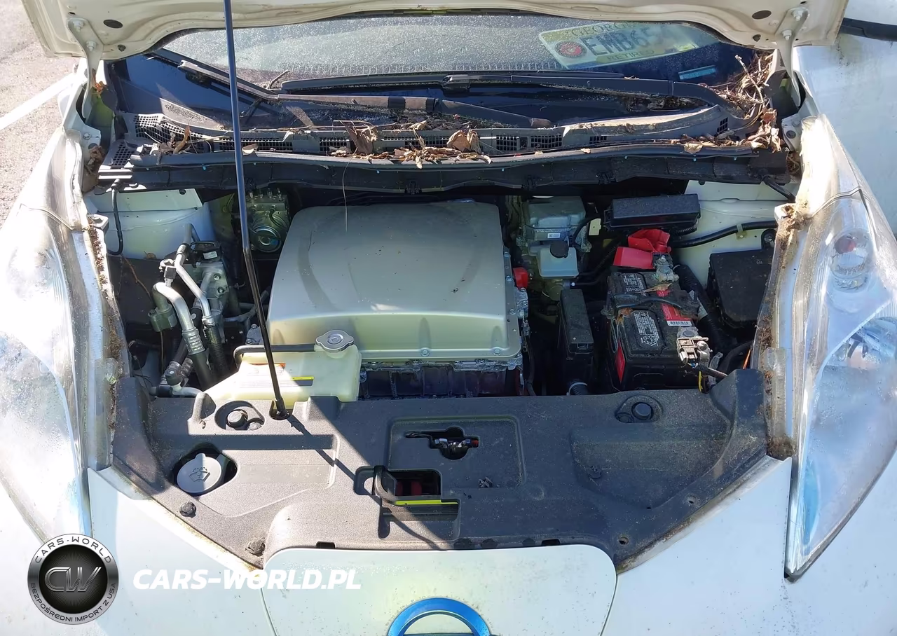 2016 Nissan Leaf Sv VIN:1N4BZ0CP0GC311708 - 10
