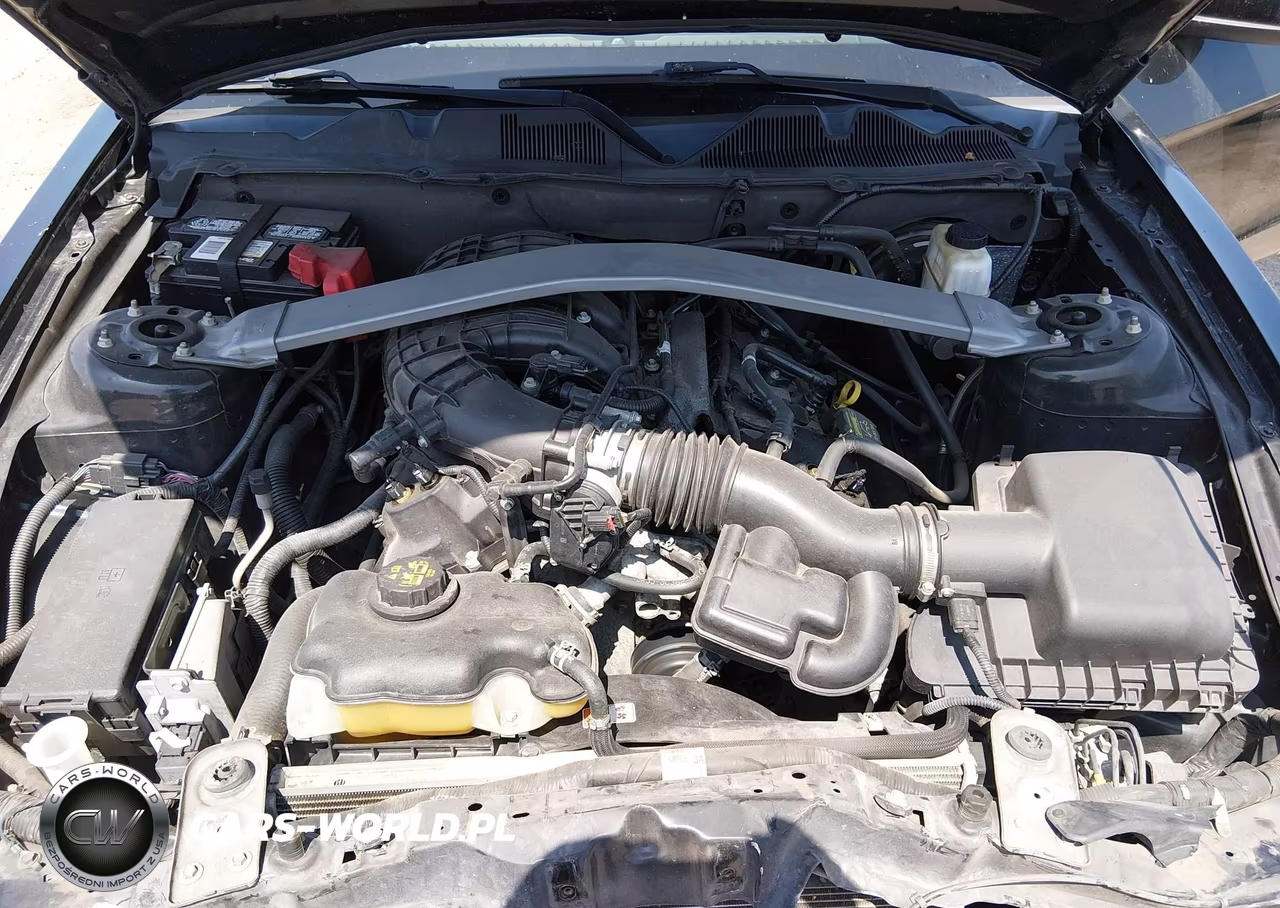 2013 Ford Mustang V6 Premium VIN:1ZVBP8EM9D5236604 - 10