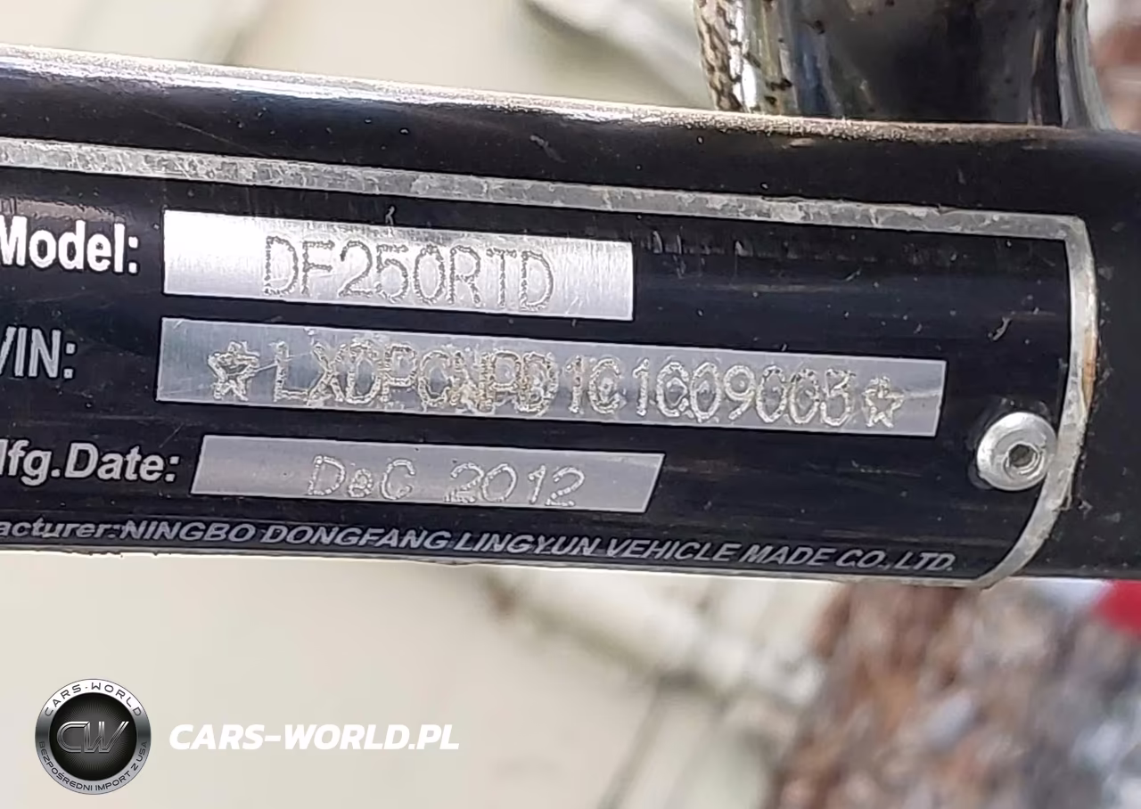 2012 Dongfang 250 Mc VIN:LXDPCNPD1C1C09003 - 10