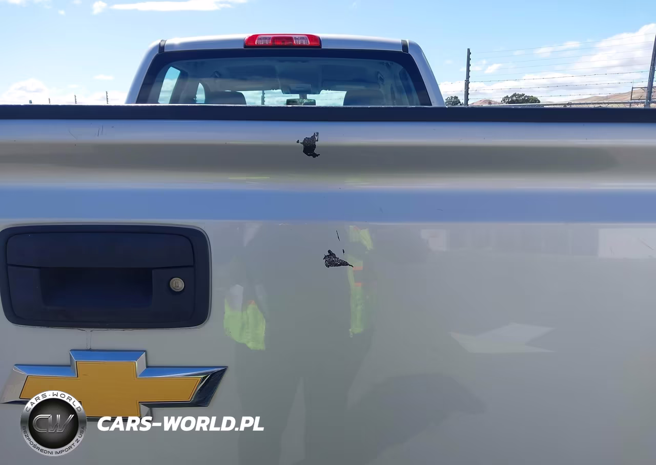 2015 Chevrolet Silverado 2500Hd Wt VIN:1GC2KUEG0FZ540680 - 6