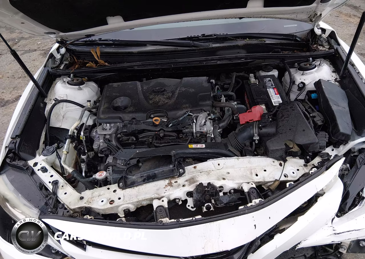 2019 Toyota Camry Le VIN:4T1B11HK7KU268598 - 10