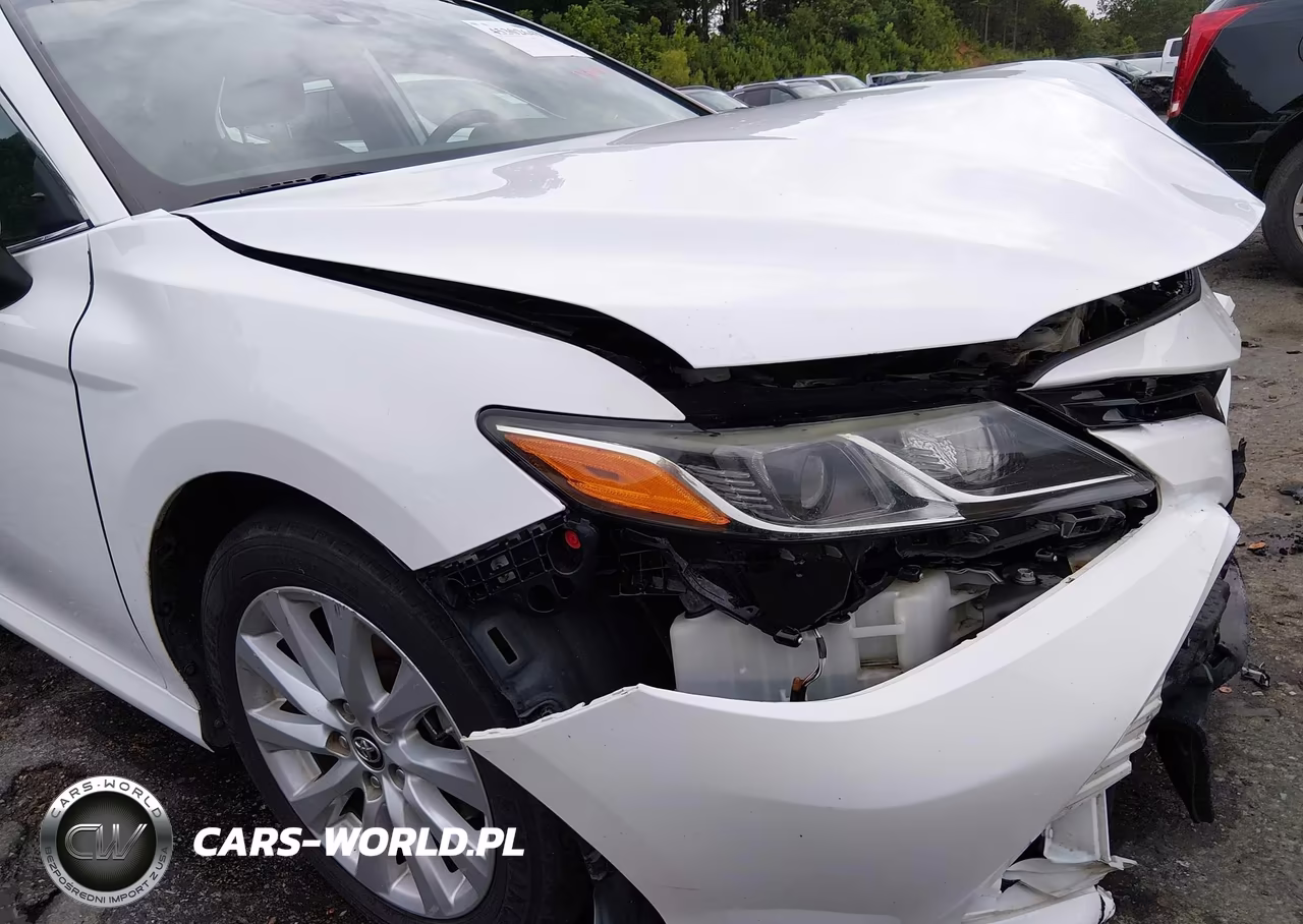 2019 Toyota Camry Le VIN:4T1B11HK7KU268598 - 18