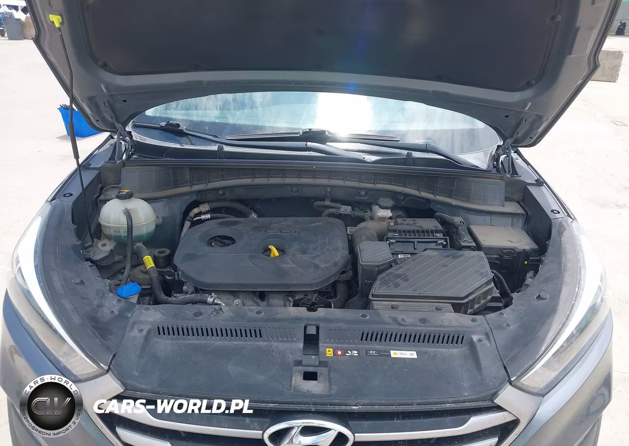 2018 Hyundai Tucson Sel VIN:KM8J33A49JU691386 - 10