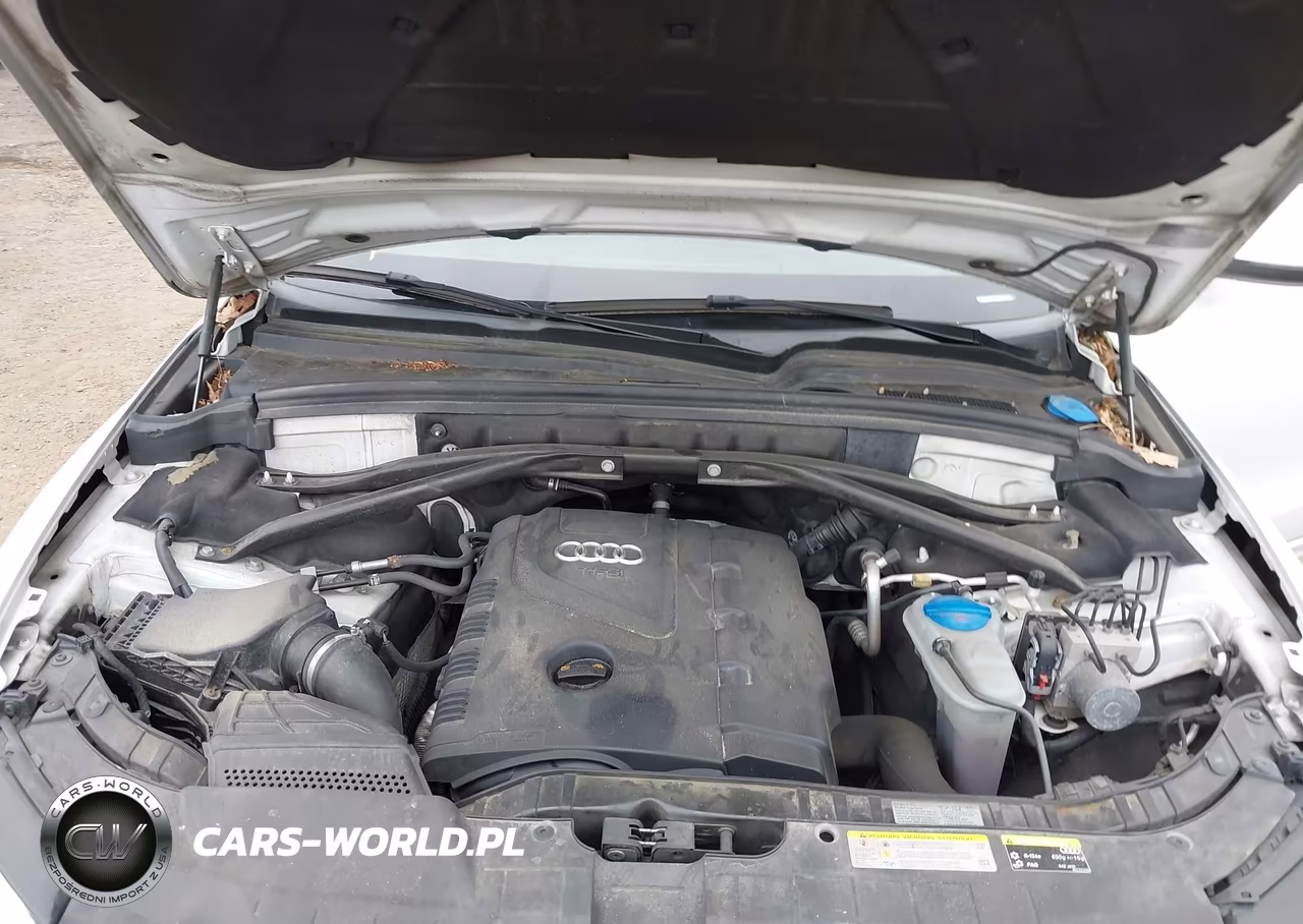 2013 Audi Q5 2.0T Premium VIN:WA1LFAFP0DA029644 - 10
