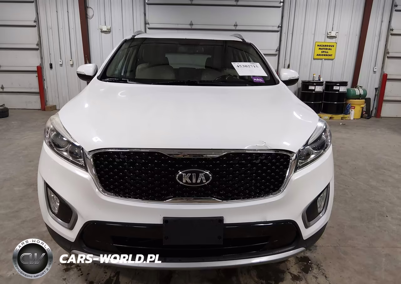 2016 Kia Sorento 3.3L Ex VIN:5XYPHDA55GG030432 - 12