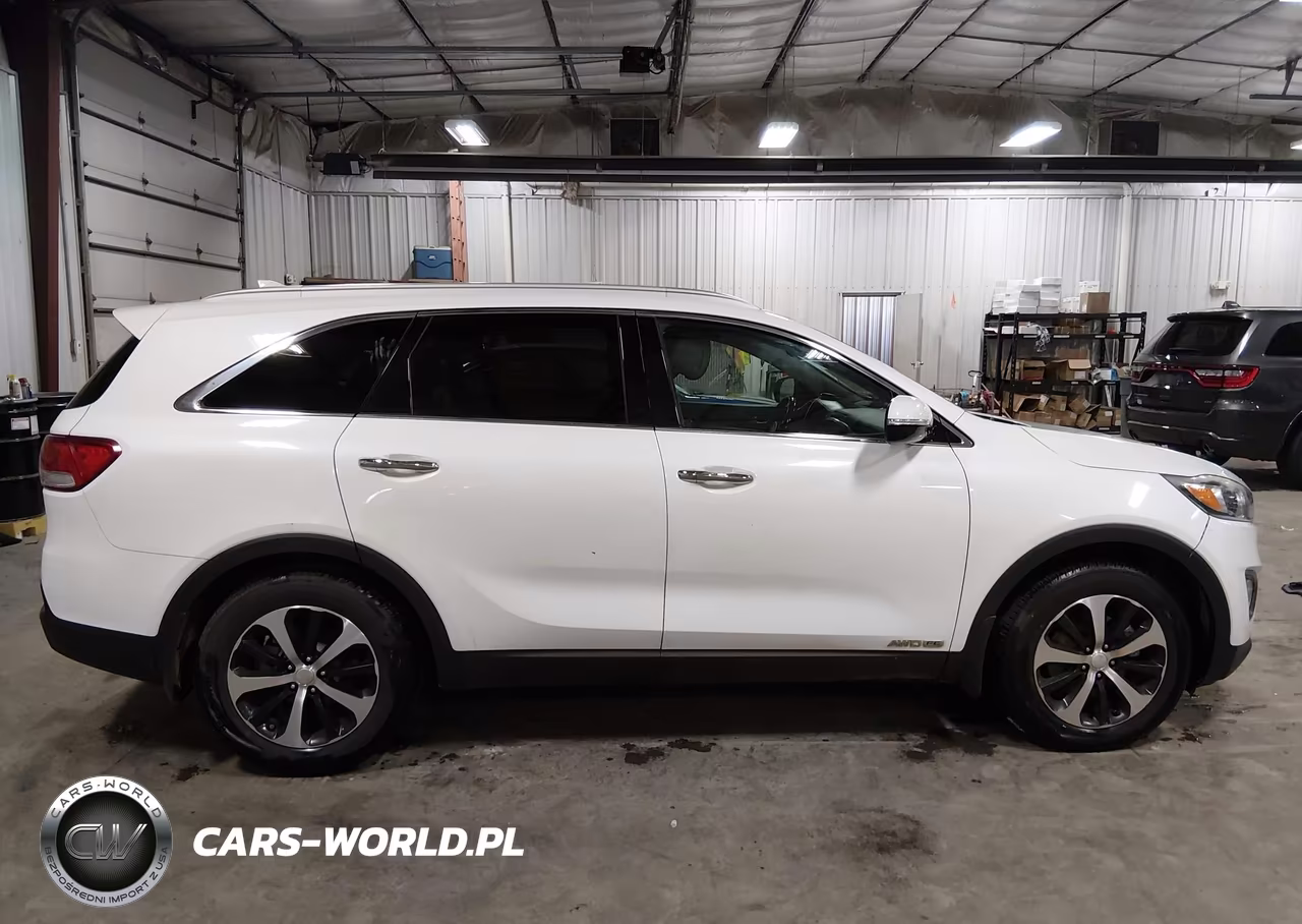 2016 Kia Sorento 3.3L Ex VIN:5XYPHDA55GG030432 - 13