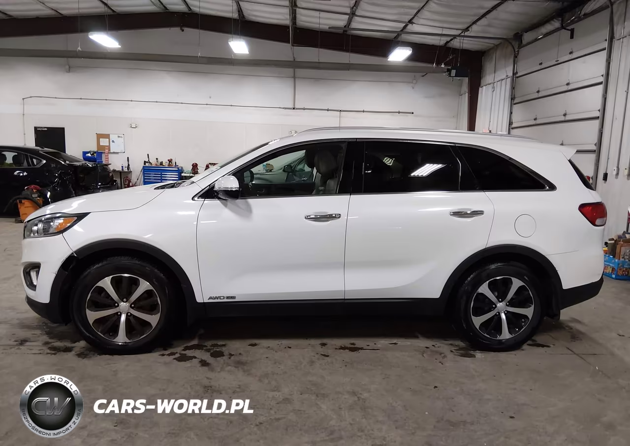 2016 Kia Sorento 3.3L Ex VIN:5XYPHDA55GG030432 - 14