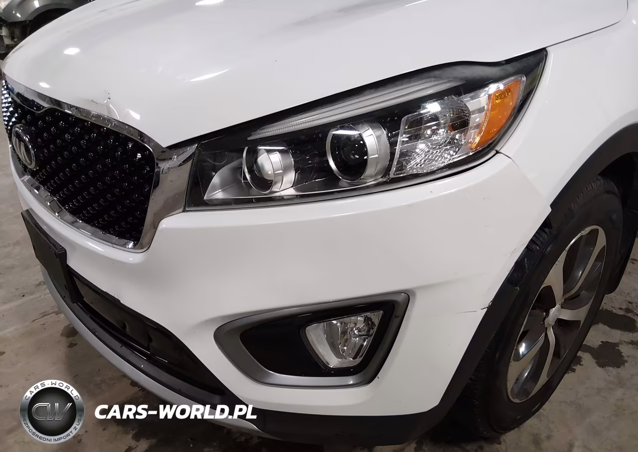 2016 Kia Sorento 3.3L Ex VIN:5XYPHDA55GG030432 - 19