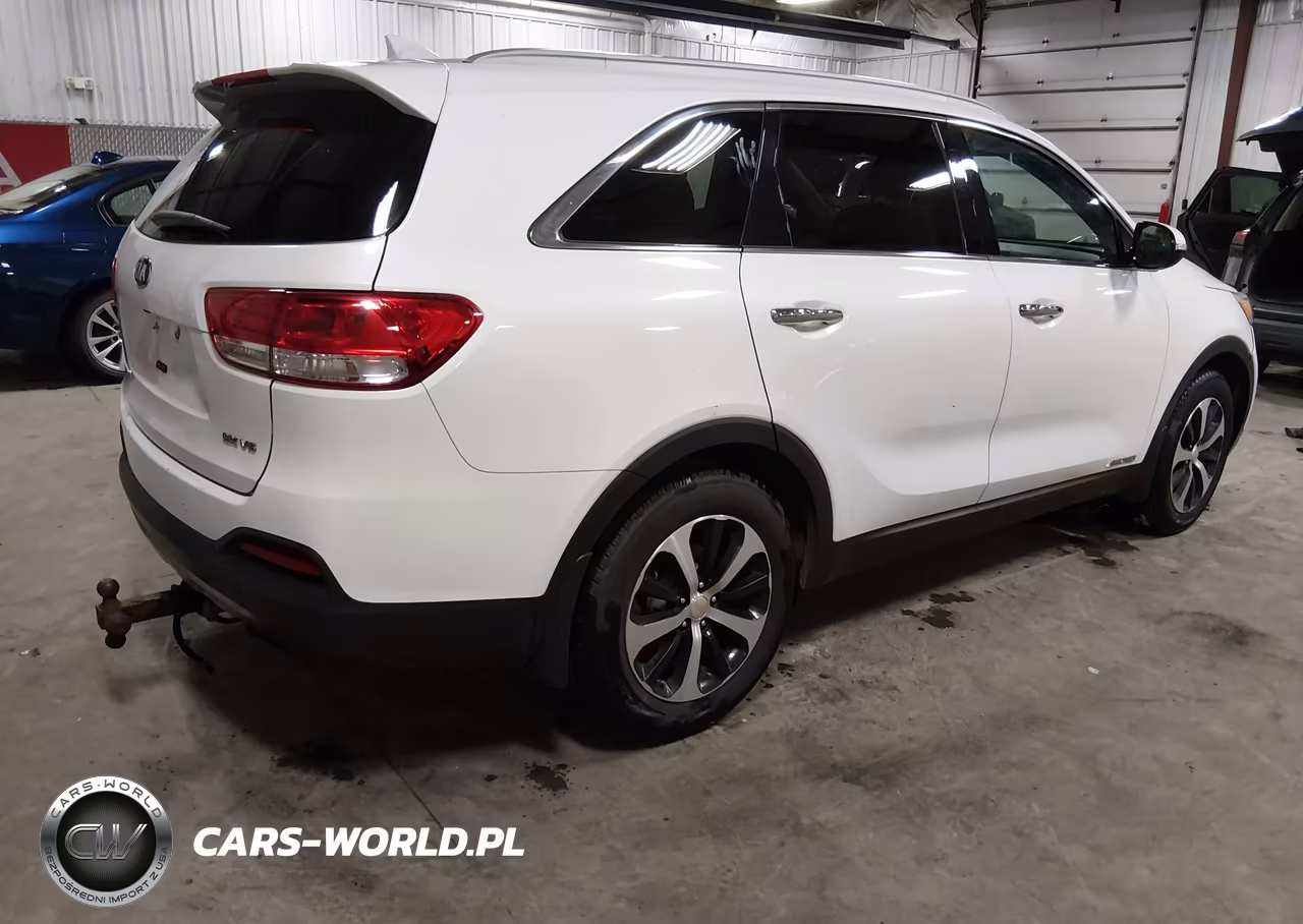 2016 Kia Sorento 3.3L Ex VIN:5XYPHDA55GG030432 - 4