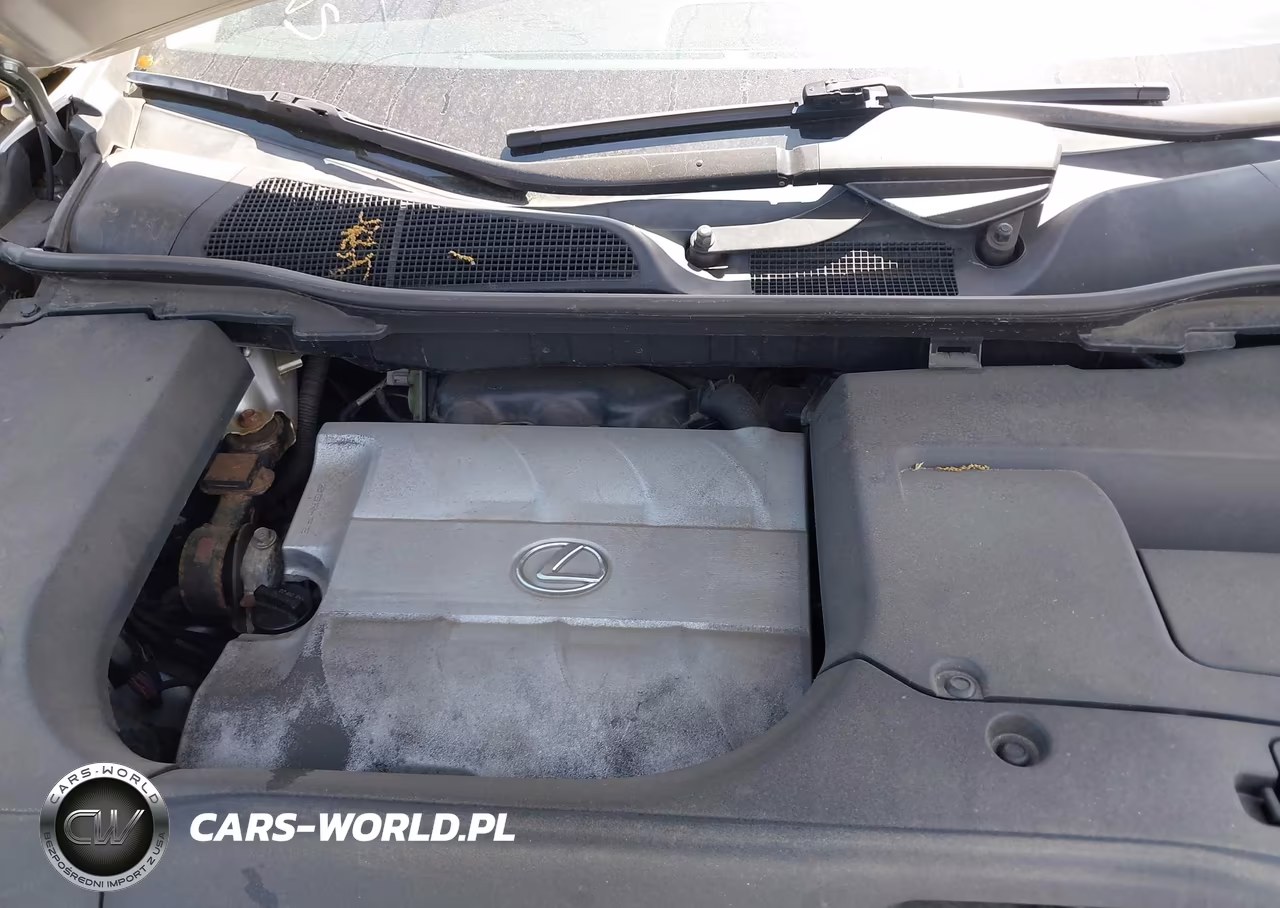 2010 Lexus Rx 350 VIN:JTJBK1BA2A2009235 - 10