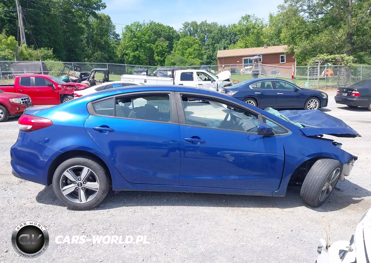 2018 Kia Forte Lx VIN:3KPFL4A77JE248968 - 14