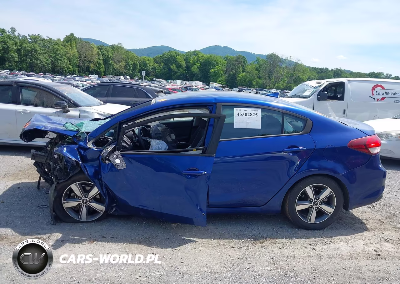 2018 Kia Forte Lx VIN:3KPFL4A77JE248968 - 15