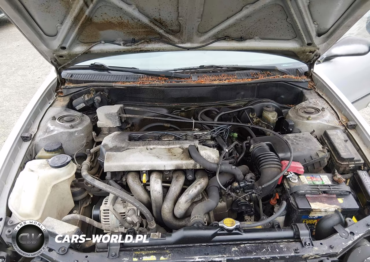 1999 Toyota Corolla Ce VIN:1NXBR12E8XZ158761 - 10