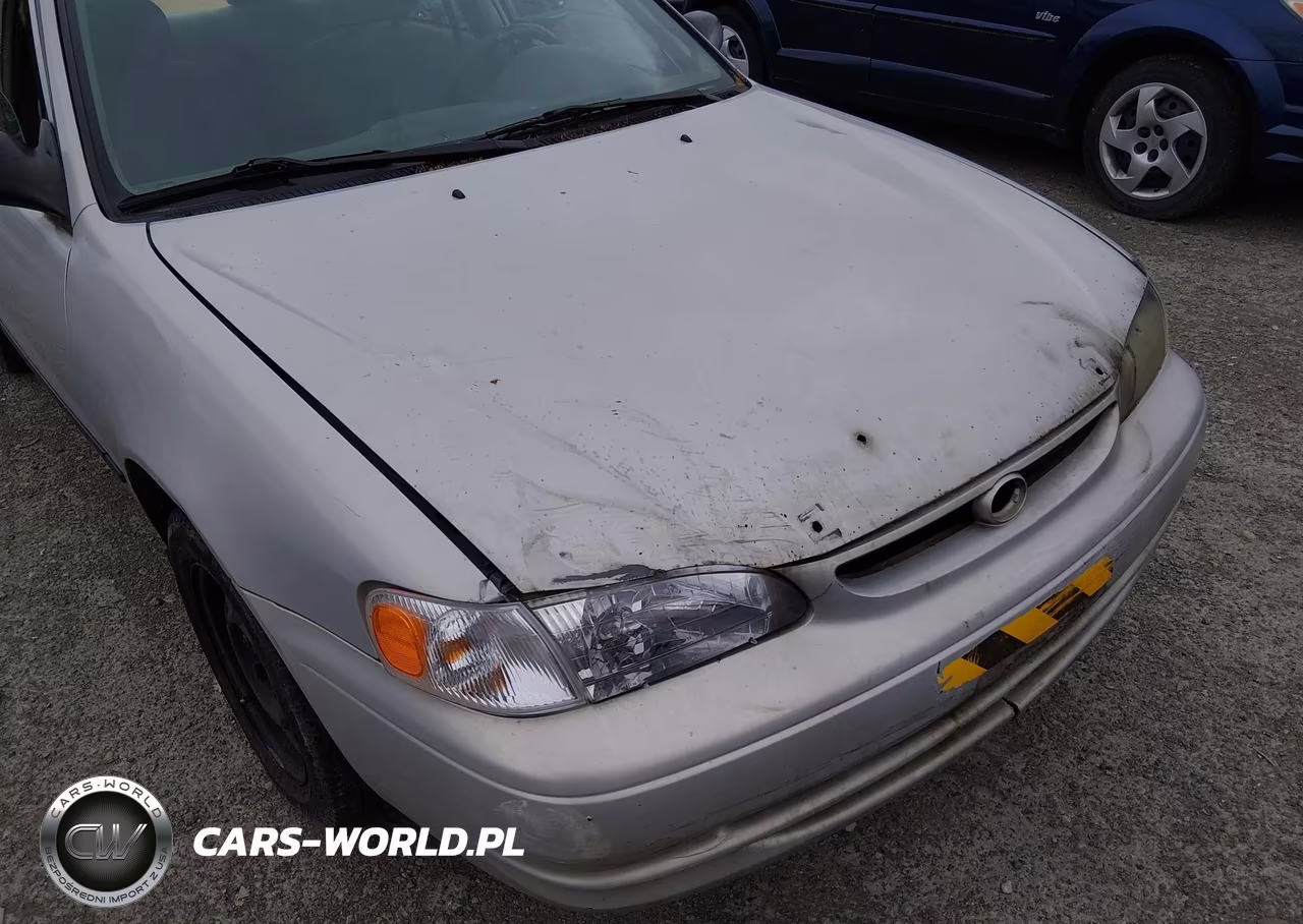 1999 Toyota Corolla Ce VIN:1NXBR12E8XZ158761 - 6
