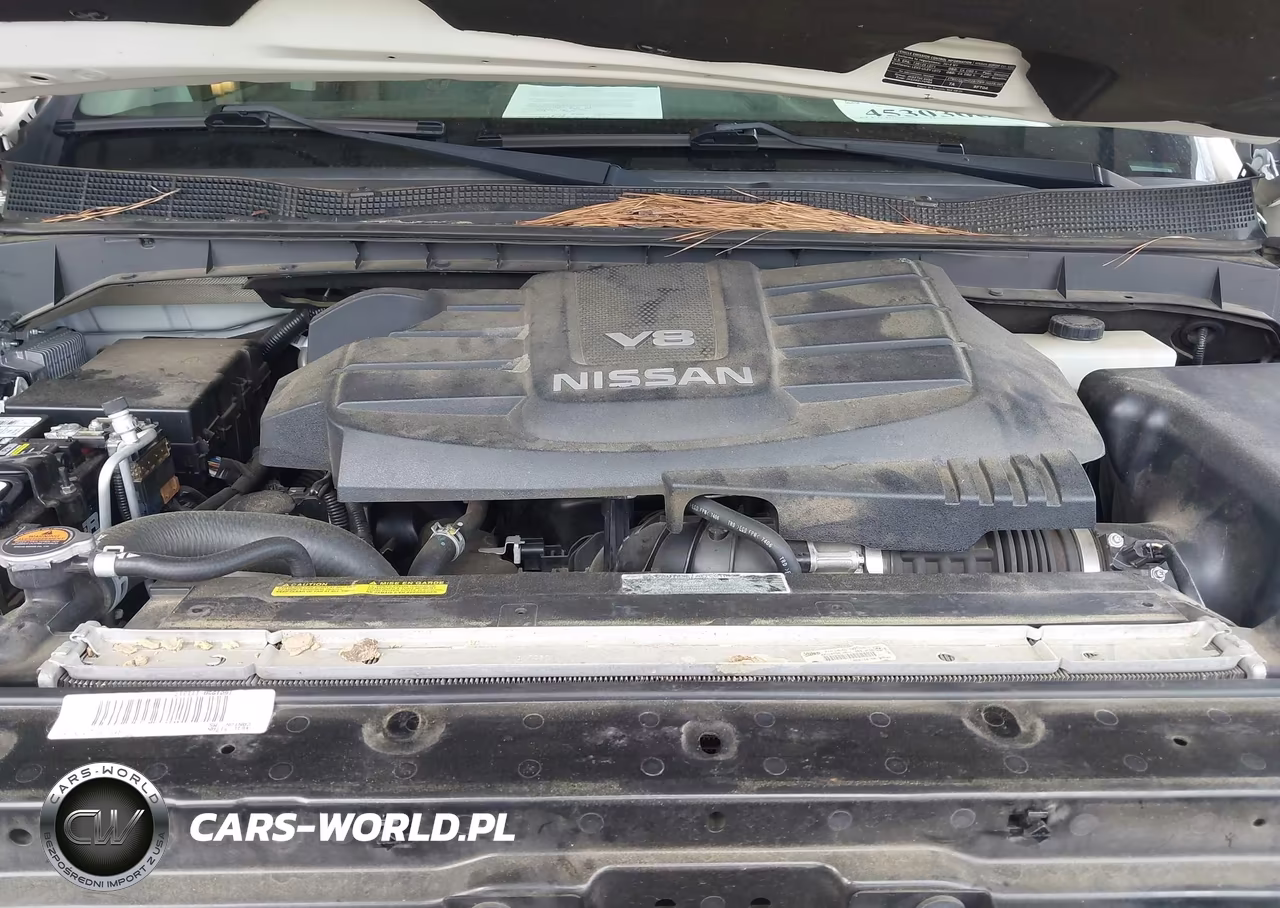 2018 Nissan Titan Platinum Reserve VIN:1N6AA1E55JN510888 - 10