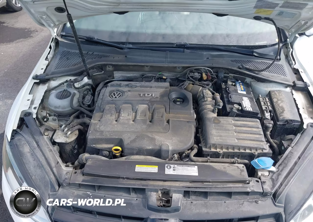 2015 Volkswagen Golf Sportwagen Tdi S 4-Door VIN:3VWCA7AUXFM515918 - 10