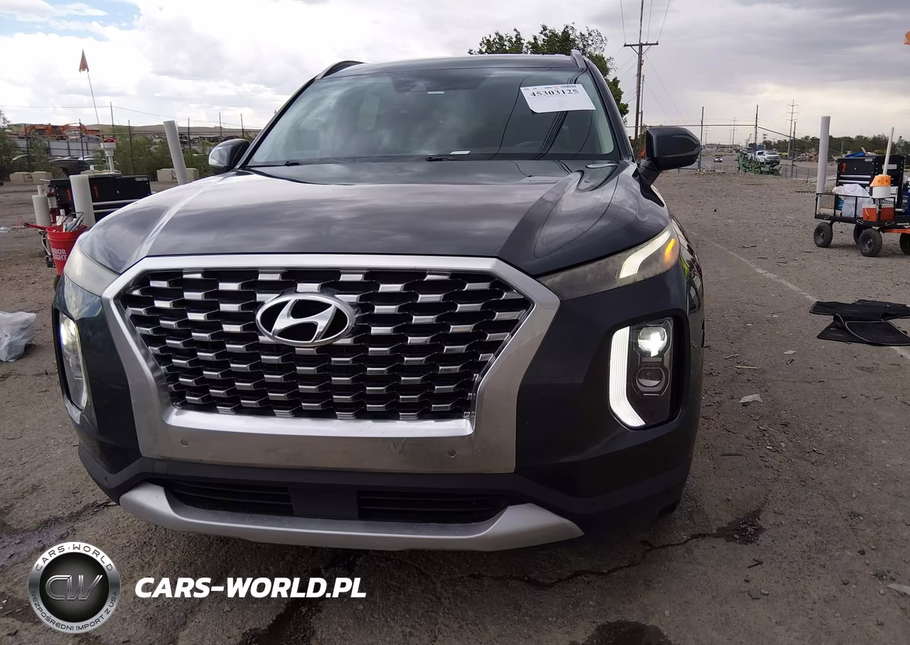 2020 Hyundai Palisade Sel VIN:KM8R44HE6LU029479 - 11