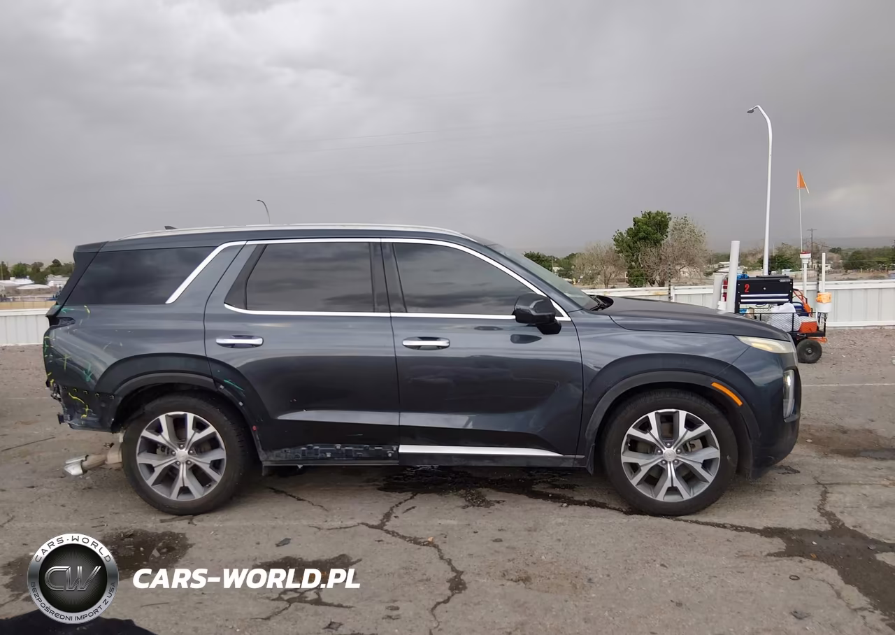 2020 Hyundai Palisade Sel VIN:KM8R44HE6LU029479 - 12