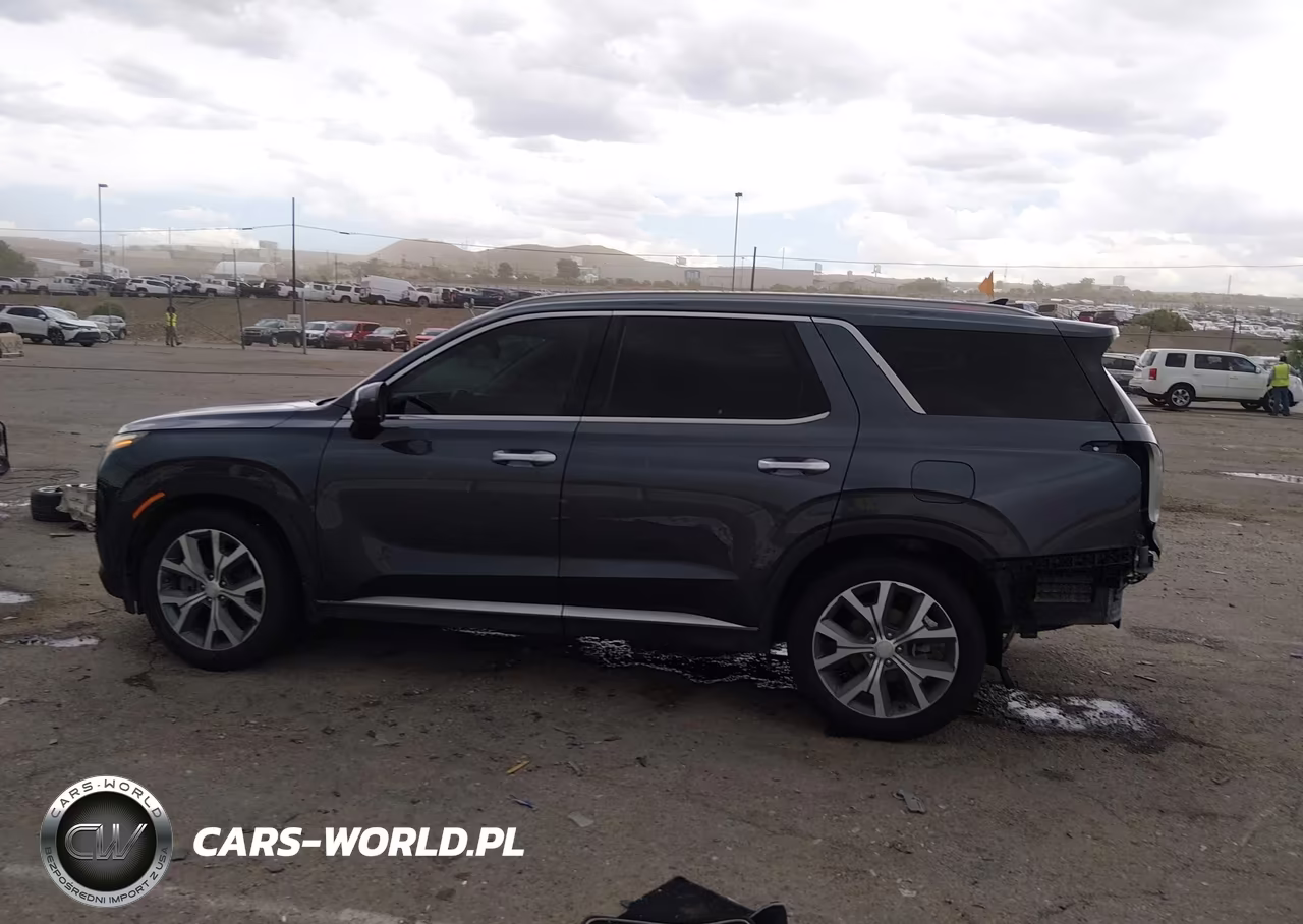 2020 Hyundai Palisade Sel VIN:KM8R44HE6LU029479 - 13