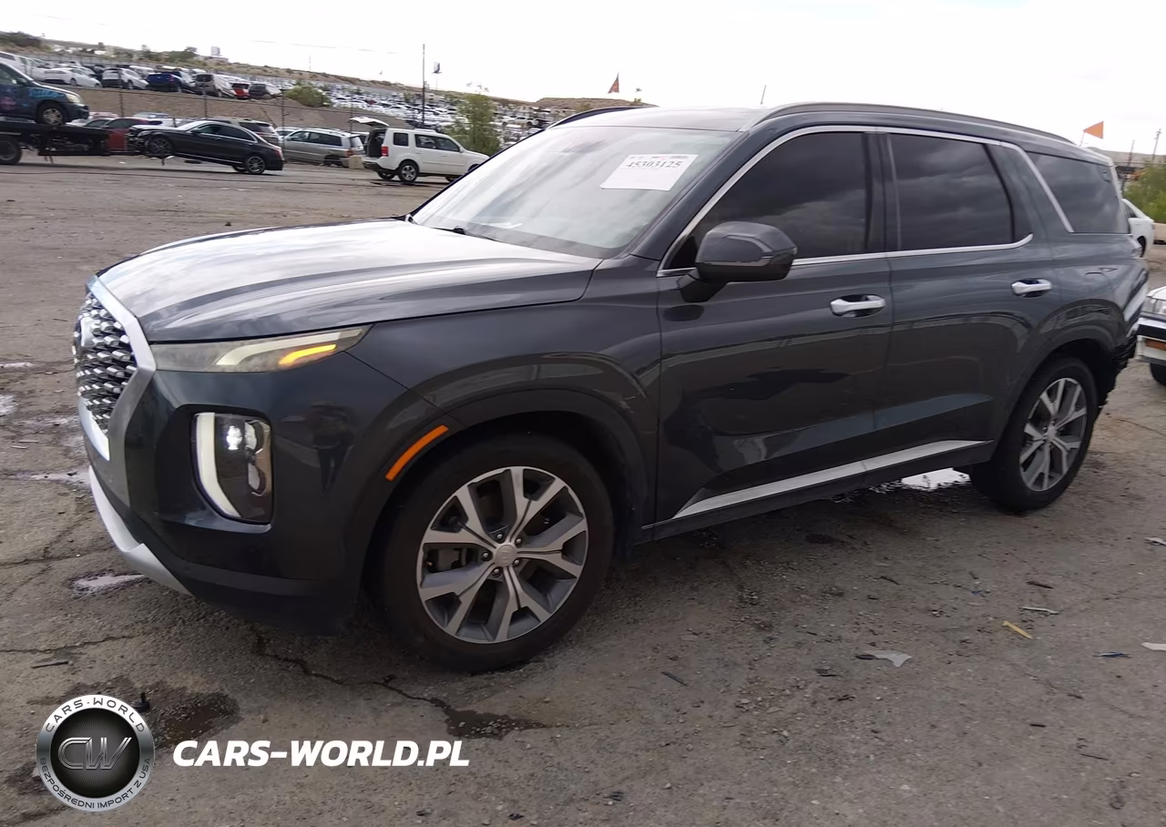 2020 Hyundai Palisade Sel VIN:KM8R44HE6LU029479 - 2