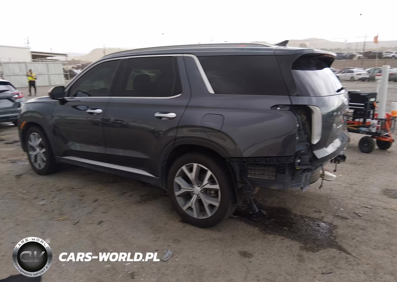 2020 Hyundai Palisade Sel VIN:KM8R44HE6LU029479 - 3