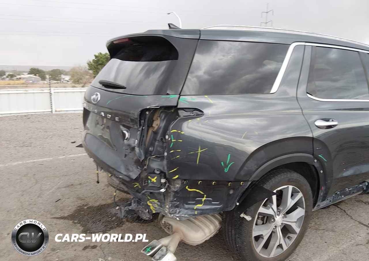 2020 Hyundai Palisade Sel VIN:KM8R44HE6LU029479 - 6
