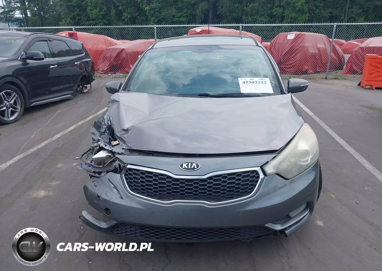 2015 Kia Forte Ex VIN:KNAFX5A83F5397901 - 13