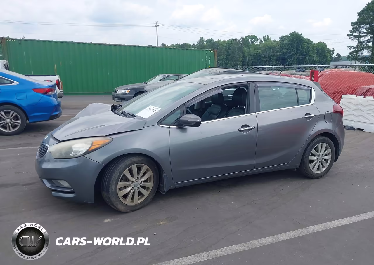 2015 Kia Forte Ex VIN:KNAFX5A83F5397901 - 15