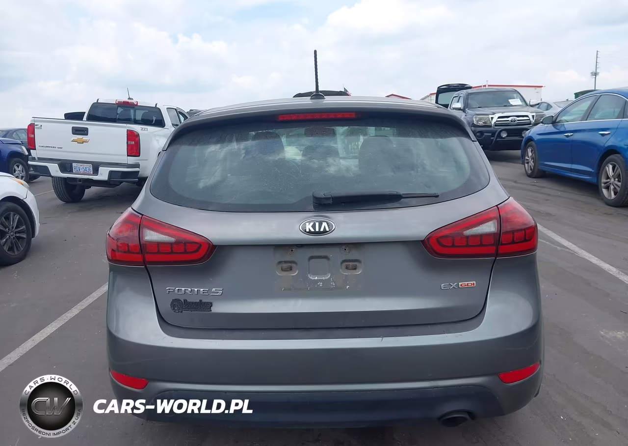 2015 Kia Forte Ex VIN:KNAFX5A83F5397901 - 17