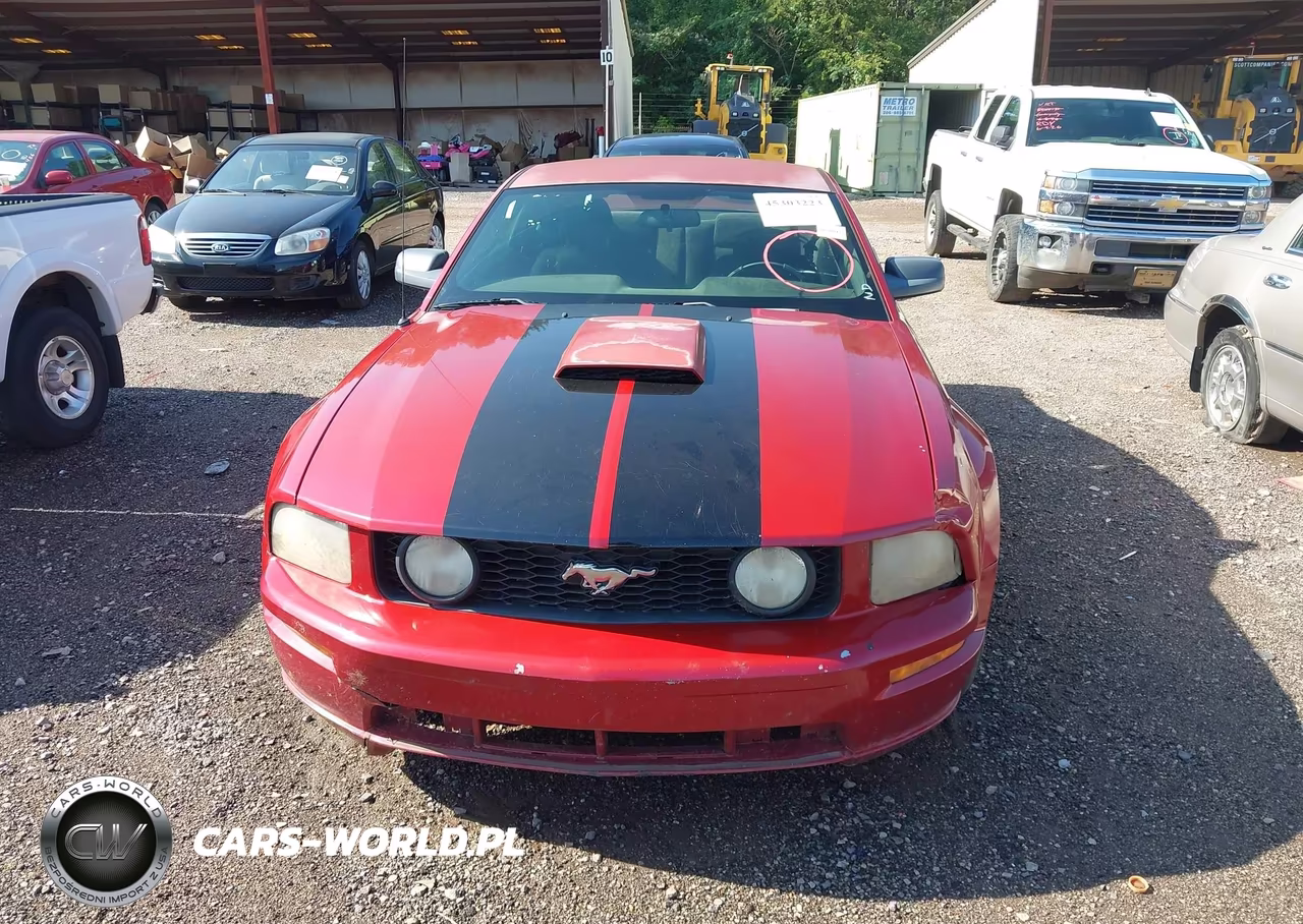 2009 Ford Mustang Gt-Gt Premium VIN:1ZVHT82H195142236 - 12