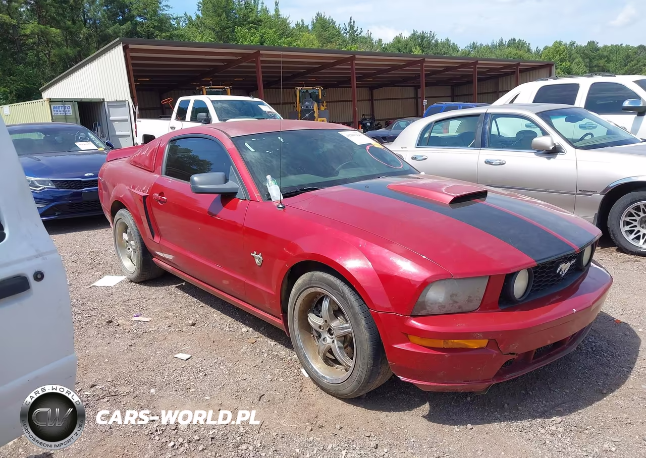 2009 Ford Mustang Gt-Gt Premium VIN:1ZVHT82H195142236 - 13