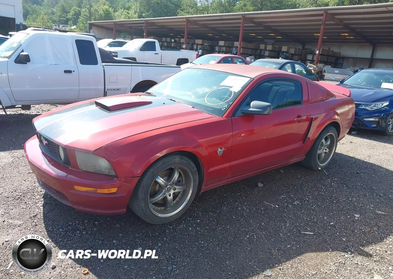2009 Ford Mustang Gt-Gt Premium VIN:1ZVHT82H195142236 - 14