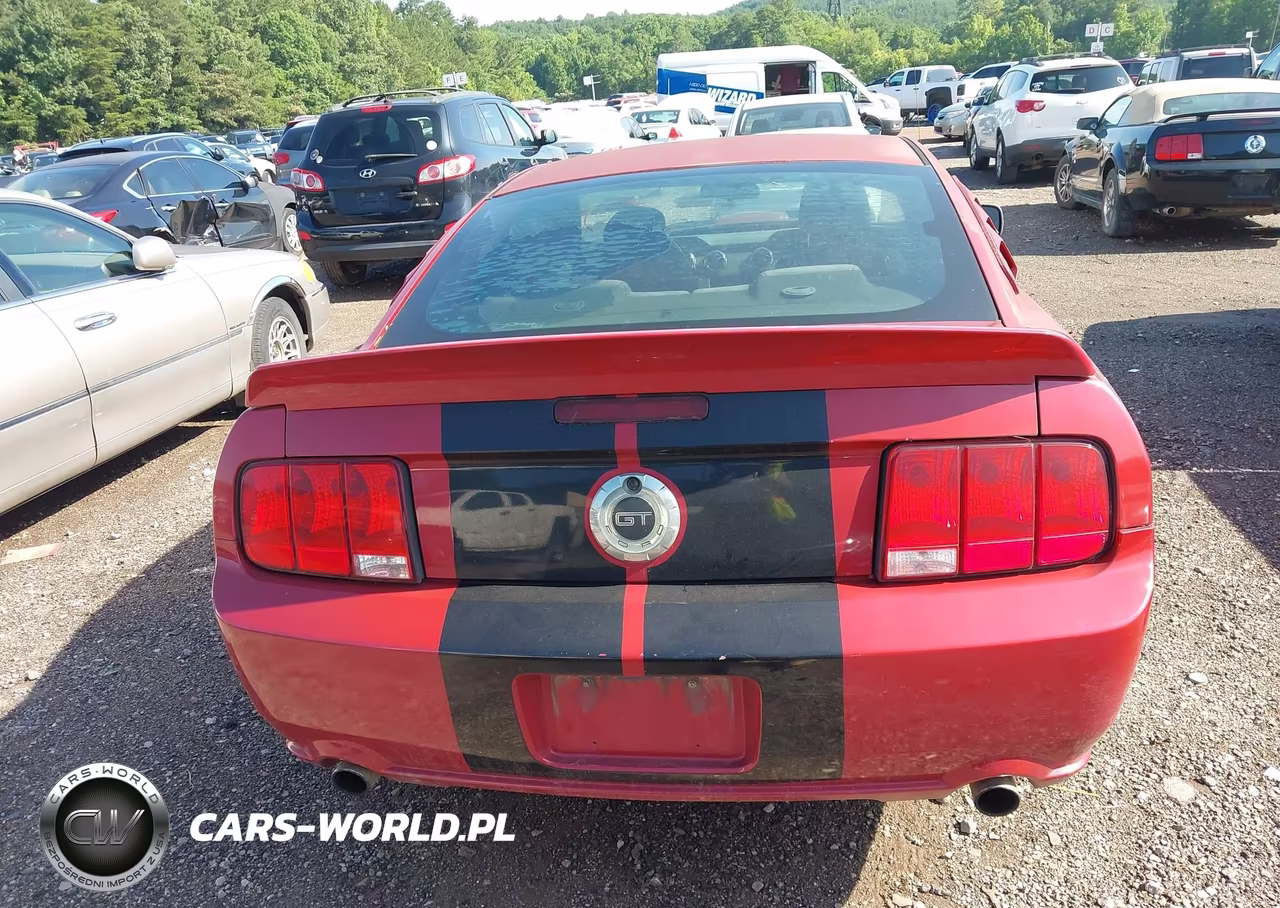 2009 Ford Mustang Gt-Gt Premium VIN:1ZVHT82H195142236 - 16