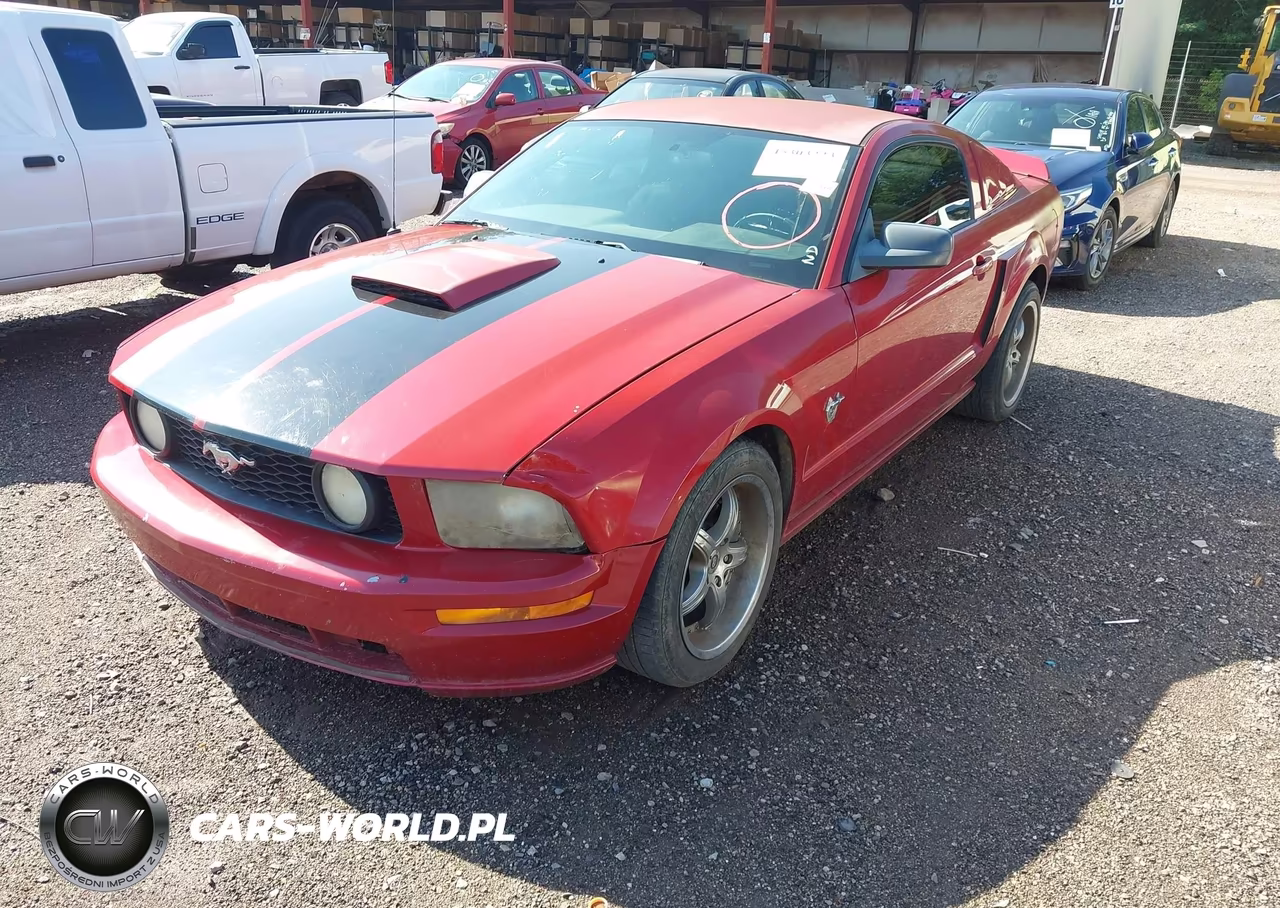 2009 Ford Mustang Gt-Gt Premium VIN:1ZVHT82H195142236 - 2