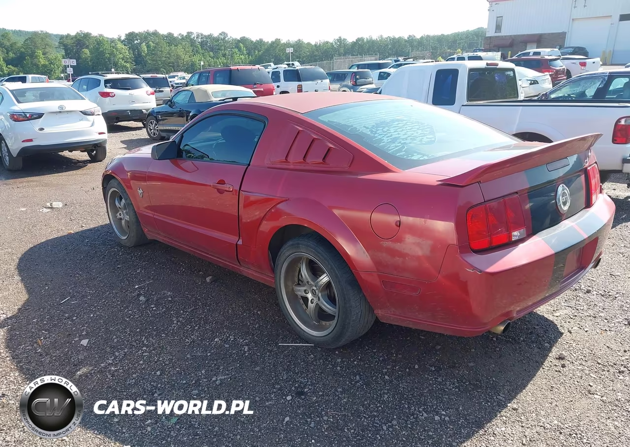 2009 Ford Mustang Gt-Gt Premium VIN:1ZVHT82H195142236 - 3
