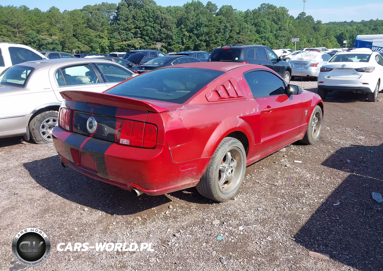 2009 Ford Mustang Gt-Gt Premium VIN:1ZVHT82H195142236 - 4