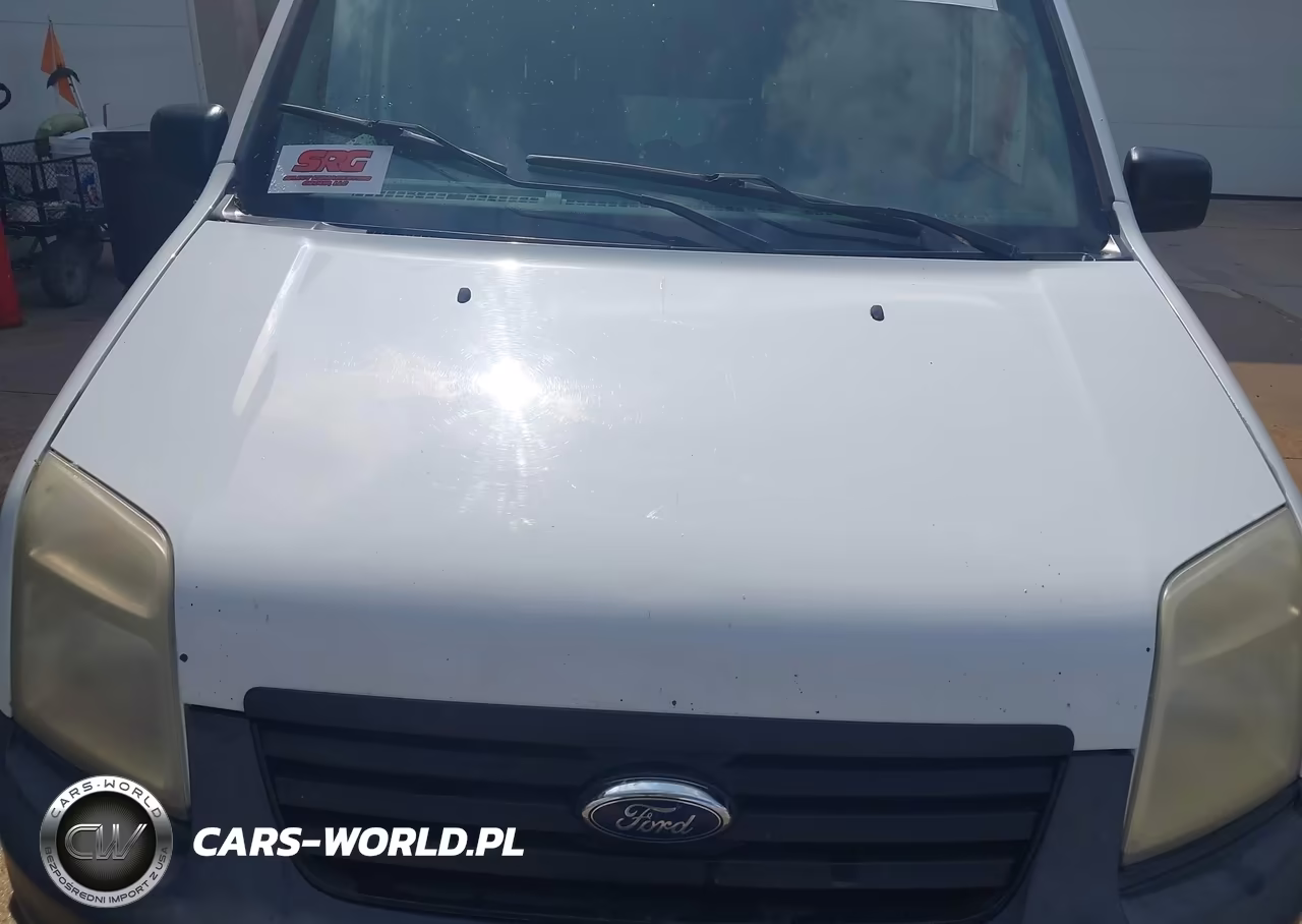 2011 Ford Transit Connect Xl VIN:NM0LS7AN9BT065602 - 10
