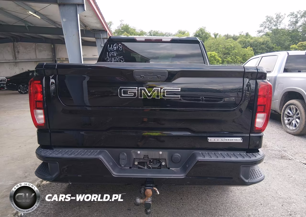 2020 GMC Sierra 1500 2Wd Short Box Elevation VIN:3GTP8CED0LG341225 - 17