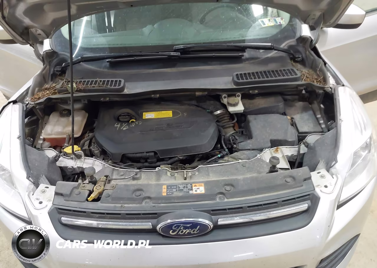 2016 Ford Escape Se VIN:1FMCU9GX0GUC53505 - 10