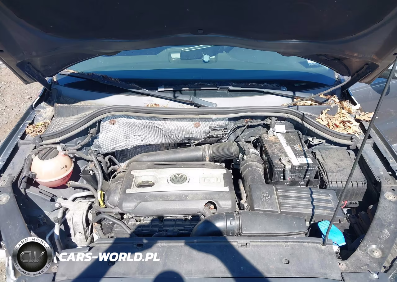 2015 Volkswagen Tiguan S VIN:WVGBV7AX0FW579393 - 10