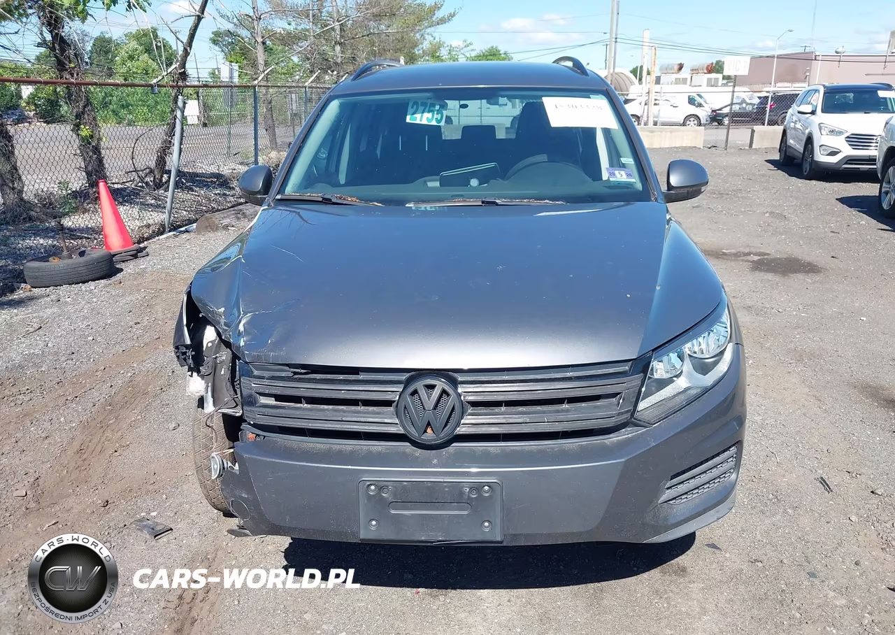 2015 Volkswagen Tiguan S VIN:WVGBV7AX0FW579393 - 12